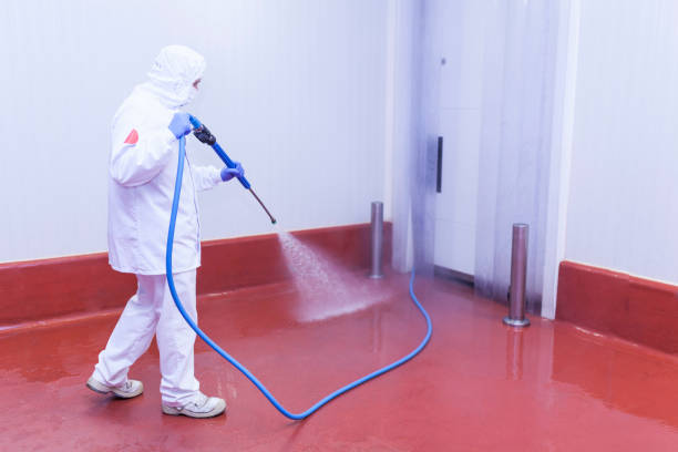 Best Heavy Equipment Washing  in The Crossings, FL